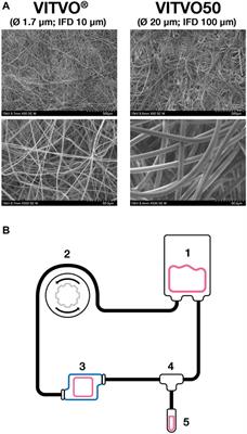 A 3D Platform to Investigate Dynamic Cell-to-Cell Interactions Between Tumor Cells and Mesenchymal Progenitors